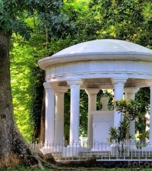 Kebun Raya Bogor5