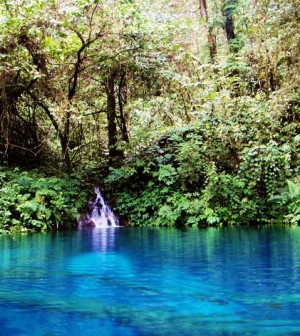 wisata alam anak di bogor,wisata alam di medan,duta wisata jambi,peta wisata jambi,wisata alam di bali