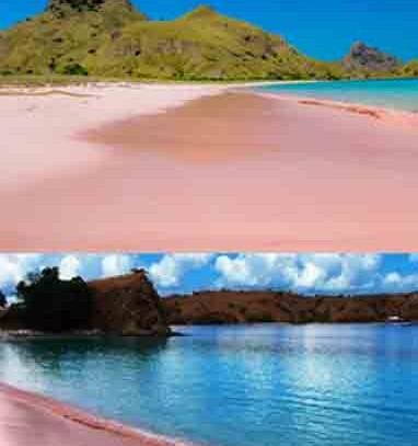 Pantai-pink-lombok
