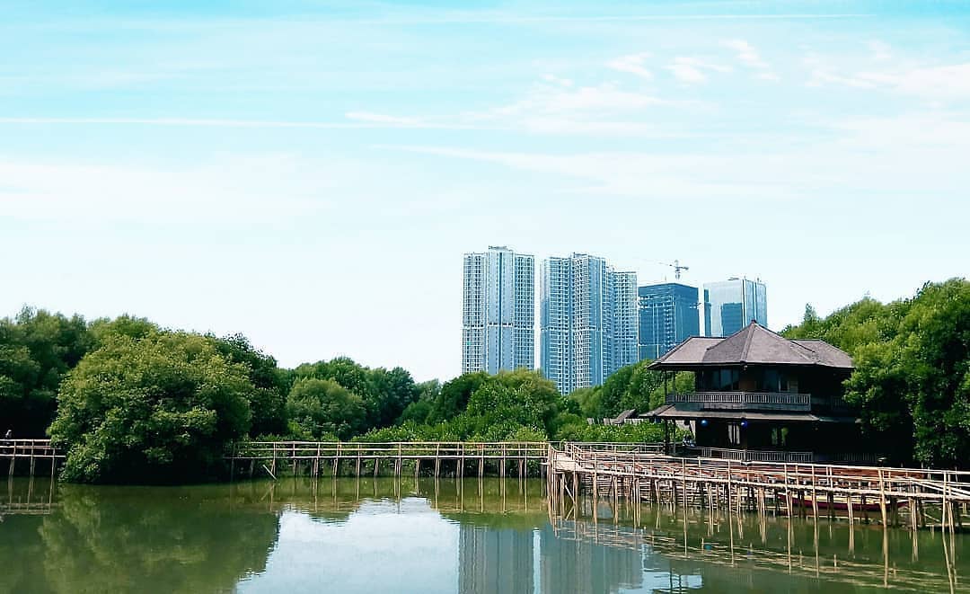 Hutan Mangrove, Wisata Alam Di Jakarta - Ensiklopedia Indonesia